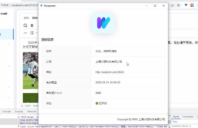#工具 #软件Wpspaster-图文一键粘贴软件Wpspaster支持从Word、WPS图文复制后粘贴到Tinymce富文本编辑器