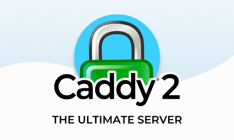 GitHub - caddyserver/caddy: Fast and extensible multi-platform HTTP/1-2-3 web server with automatic HTTPS