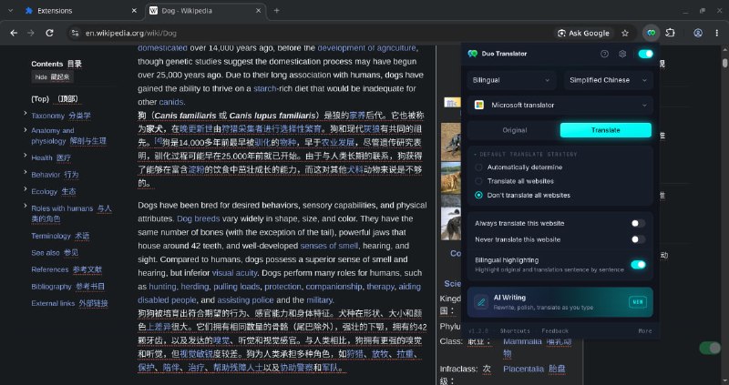 Duo TranslatorAI驱动的翻译和写作助手