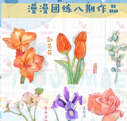 『画画的漫漫』ipad水彩团练第八期阿里：