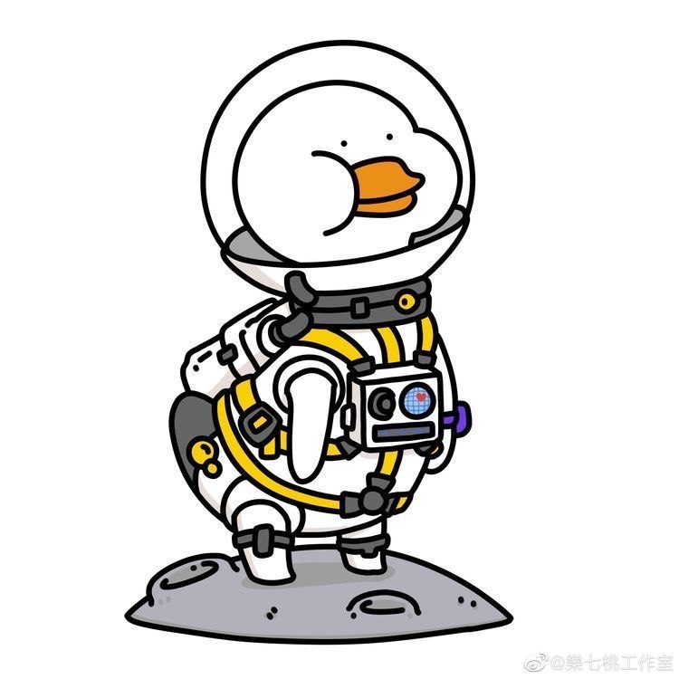 一组鸭鸭🧐一组鸭鸭🧐